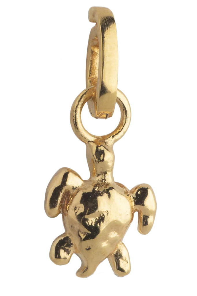 Calm Turtle Charm