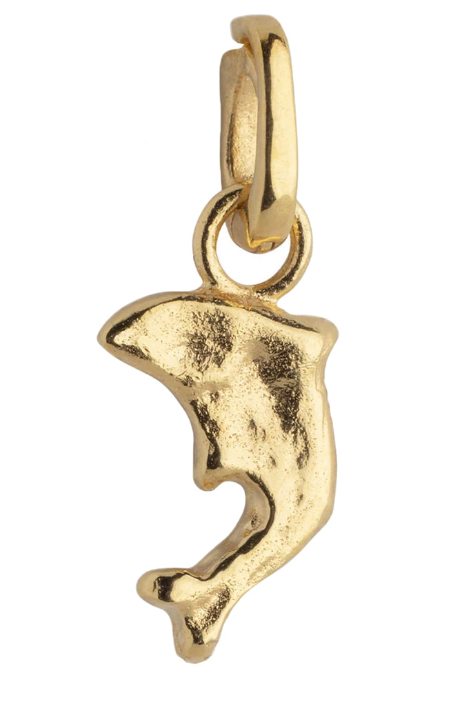 Joyful Dolphin Charm