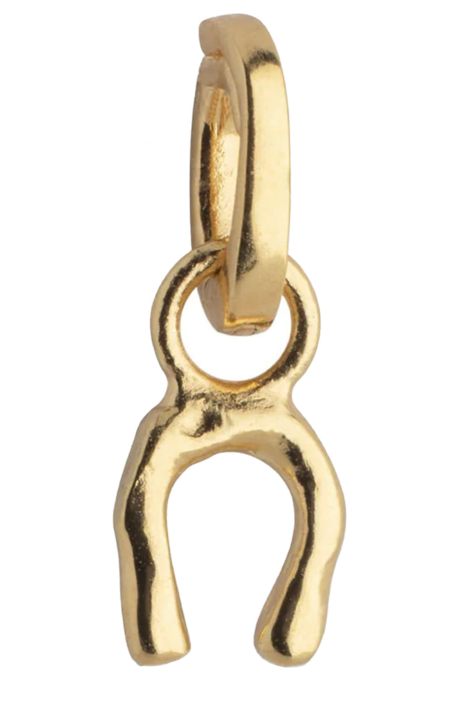 Lucky Horseshoe Charm