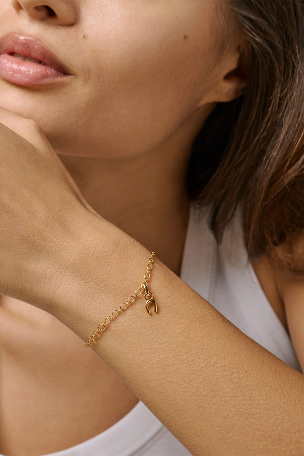 Lucky Horseshoe Charm