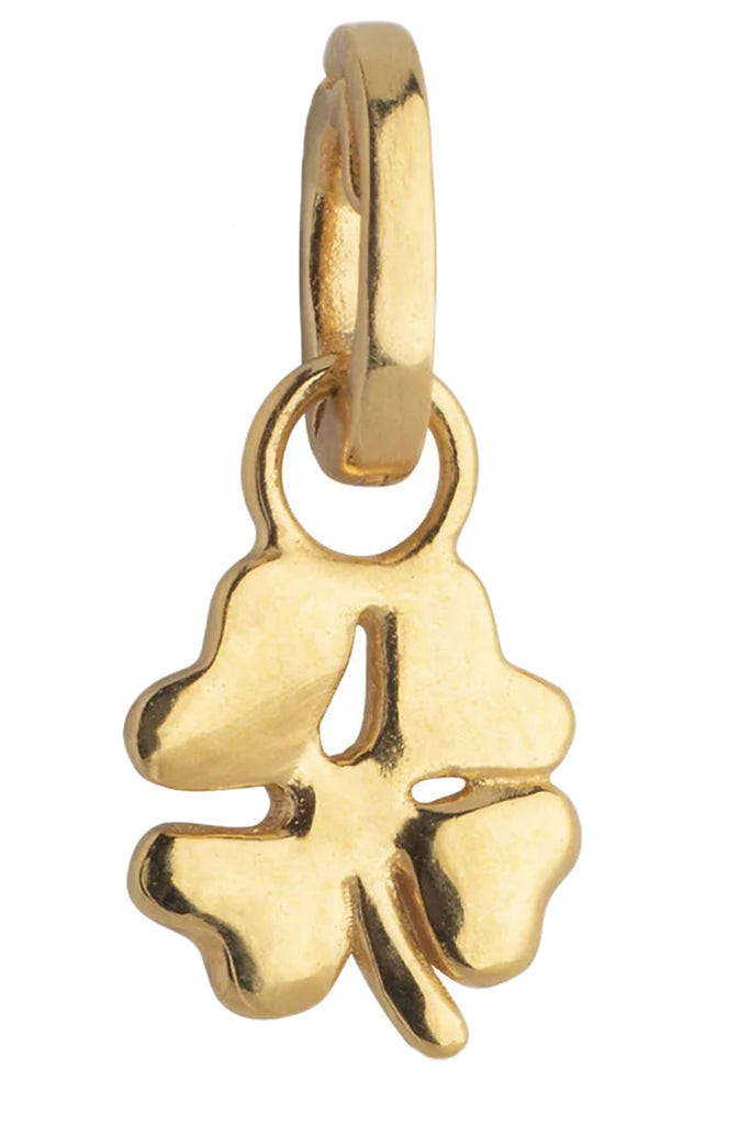 Organic Clover Charm