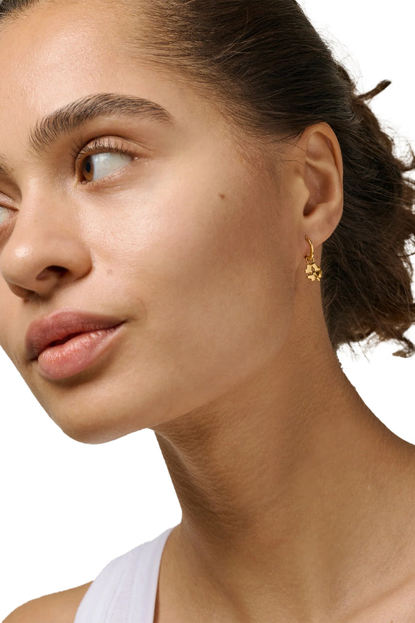 Organic Clover Charm