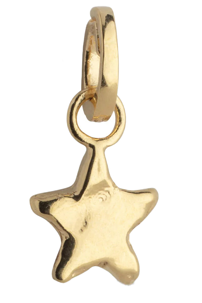 Star Energy Charm