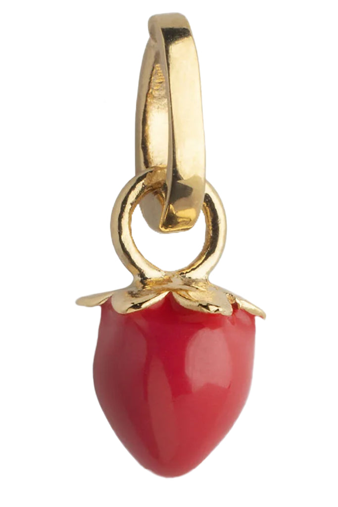 Sunny Strawberry Charm