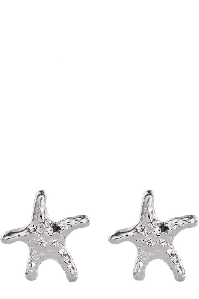 Sea Star Earrings